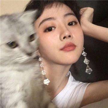 小马模拟器下载官方版
